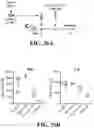 Fig. 35 - ANUCLEATE CELL-DERIVED VACCINES