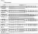 Fig. 11 - Gut bacteria derived microvesicles for vaccine delivery