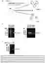 Fig. 14 - Gut bacteria derived microvesicles for vaccine delivery