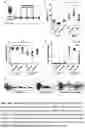 Fig. 21 - Gut bacteria derived microvesicles for vaccine delivery