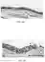 Fig. 05 - Materials and methods for respiratory disease control in canines