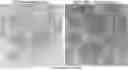 Fig. 01 - HERPES SIMPLEX VIRUS NANOEMULSION VACCINES AND METHODS OF USING THE SAME