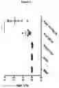 Fig. 07 - POLYMERSOMES COMPRISING A COVALENTLY BOUND ANTIGEN AS WELL AS METHODS OF MAKING AND USES THEREOF