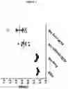 Fig. 08 - POLYMERSOMES COMPRISING A COVALENTLY BOUND ANTIGEN AS WELL AS METHODS OF MAKING AND USES THEREOF