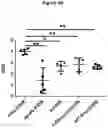 Fig. 17 - Ii vaccine adjuvant