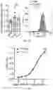 Fig. 11 - GLYCOENGINEERING IMMUNOGLOBULIN E