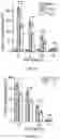 Fig. 14 - GLYCOENGINEERING IMMUNOGLOBULIN E