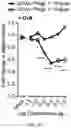 Fig. 18 - GLYCOENGINEERING IMMUNOGLOBULIN E