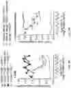 Fig. 22 - GLYCOENGINEERING IMMUNOGLOBULIN E