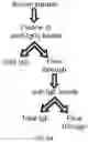 Fig. 24 - GLYCOENGINEERING IMMUNOGLOBULIN E