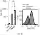 Fig. 26 - GLYCOENGINEERING IMMUNOGLOBULIN E