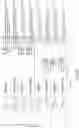 Fig. 31 - GLYCOENGINEERING IMMUNOGLOBULIN E
