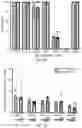 Fig. 35 - GLYCOENGINEERING IMMUNOGLOBULIN E
