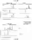 Fig. 40 - GLYCOENGINEERING IMMUNOGLOBULIN E