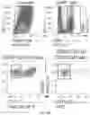 Fig. 42 - GLYCOENGINEERING IMMUNOGLOBULIN E