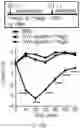 Fig. 44 - GLYCOENGINEERING IMMUNOGLOBULIN E