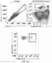 Fig. 49 - GLYCOENGINEERING IMMUNOGLOBULIN E