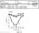 Fig. 50 - GLYCOENGINEERING IMMUNOGLOBULIN E