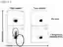 Fig. 02 - METHODS FOR IDENTIFYING BETA-GLUCAN BINDING TO IMMUNE CELLS