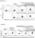 Fig. 05 - METHODS FOR IDENTIFYING BETA-GLUCAN BINDING TO IMMUNE CELLS