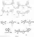 Fig. 02 - MICRO-NANO STRUCTURE FORMED BY SELF-ASSEMBLING ORGANIC SMALL MOLECULE COMPOUND AND USE THEREOF