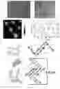 Fig. 04 - MICRO-NANO STRUCTURE FORMED BY SELF-ASSEMBLING ORGANIC SMALL MOLECULE COMPOUND AND USE THEREOF