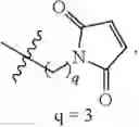 Fig. 35 - MICRO-NANO STRUCTURE FORMED BY SELF-ASSEMBLING ORGANIC SMALL MOLECULE COMPOUND AND USE THEREOF