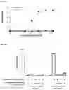 Fig. 11 - COMPOSITIONS, COMBINATIONS AND RELATED METHODS FOR PHOTOIMMUNOTHERAPY