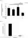 Fig. 19 - COMPOSITIONS, COMBINATIONS AND RELATED METHODS FOR PHOTOIMMUNOTHERAPY