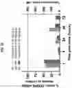 Fig. 04 - Ras inhibitors