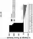 Fig. 09 - Ras inhibitors