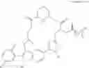 Fig. 1002 - Ras inhibitors