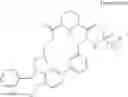 Fig. 1016 - Ras inhibitors