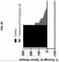 Fig. 21 - Ras inhibitors