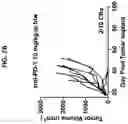 Fig. 28 - Ras inhibitors