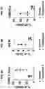 Fig. 32 - Ras inhibitors