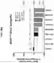 Fig. 33 - Ras inhibitors