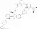 Fig. 358 - Ras inhibitors