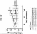 Fig. 37 - Ras inhibitors