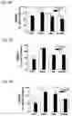 Fig. 05 - Compositions Containing Nucleosides and Manganese and Their Uses