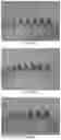 Fig. 06 - POLYETHYLENE GLYCOL CONJUGATED DRUG AND ITS PREPARATION METHOD AND USE