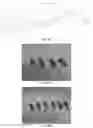 Fig. 08 - POLYETHYLENE GLYCOL CONJUGATED DRUG AND ITS PREPARATION METHOD AND USE