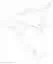 Fig. 249 - POLYETHYLENE GLYCOL CONJUGATED DRUG AND ITS PREPARATION METHOD AND USE