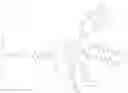 Fig. 327 - POLYETHYLENE GLYCOL CONJUGATED DRUG AND ITS PREPARATION METHOD AND USE