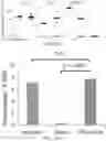 Fig. 22 - BIOORTHOGONAL COMPOSITIONS