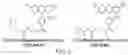 Fig. 26 - BIOORTHOGONAL COMPOSITIONS