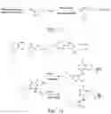 Fig. 51 - BIOORTHOGONAL COMPOSITIONS
