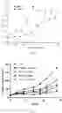 Fig. 09 - Linker peptide for constructing fusion protein