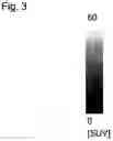 Fig. 04 - CONJUGATE COMPRISING LIGAND, SPACER, PEPTIDE LINKER, AND BIOMOLECULE