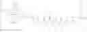 Fig. 151 - CONJUGATE COMPRISING LIGAND, SPACER, PEPTIDE LINKER, AND BIOMOLECULE